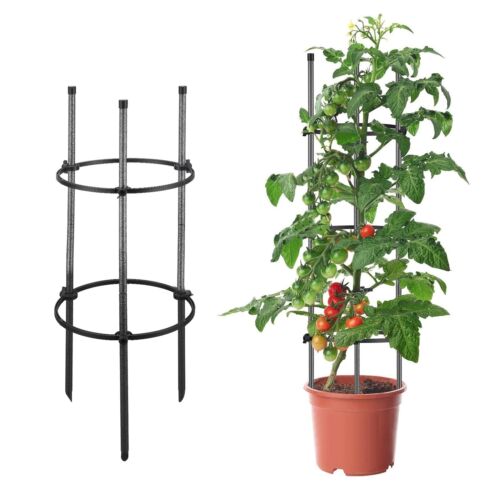 Tomato Cage for Garden 31" Tomato Cages for Plant Support Tomato Trellis for ...