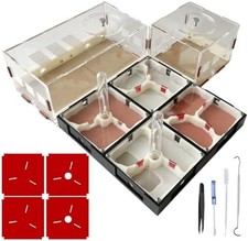 Ant Farm Nest Science DIY Terrarium Kit Care for Live Ants Ant Habitat with Wate
