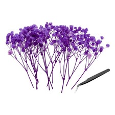 30 Pcs Dried Gypsophila Flower 4" Rose Purple Pressed Flowers with Tweezer