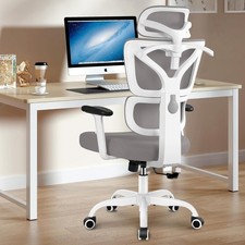 Winrise Ergonomic Office Chair – Grey