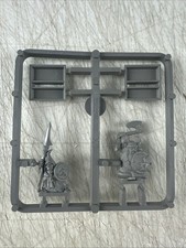 DWARF WARRIOR & NIGHT GOBLIN SPEARMEN SPRUE Plastic Battle for Skull Pass Army