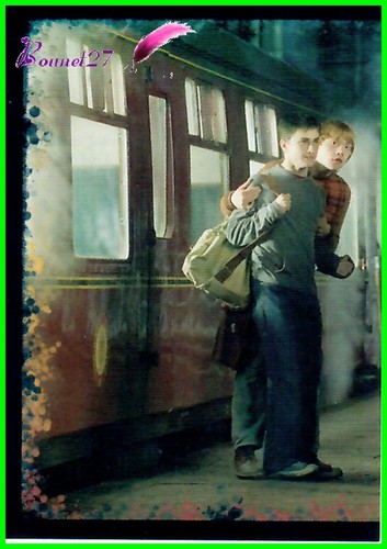 Image PANINI HARRY POTTER et l'Ordre du Phoenix - and the order of the Phoenix - Bild 22 von 76