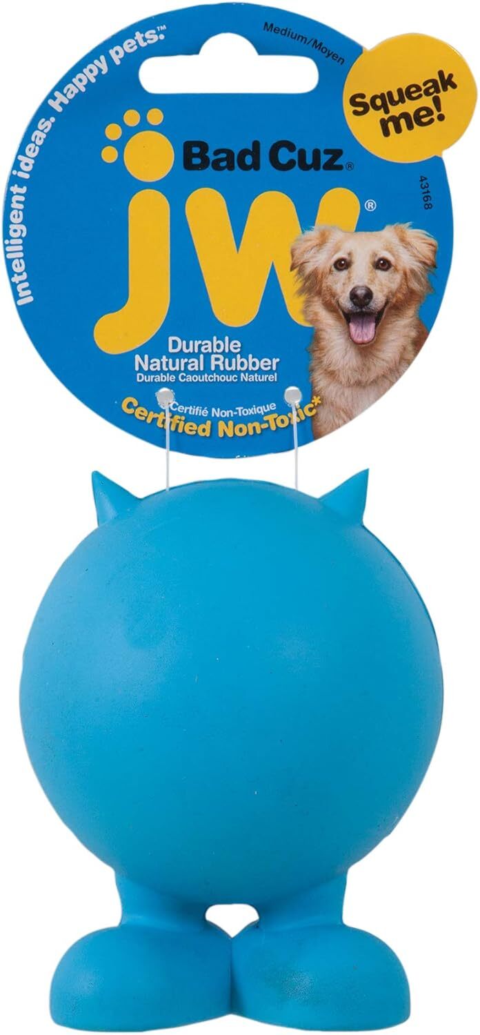 JW Pet Bad Cuz Dog Toy, assorted colors,Medium, Multi (43168