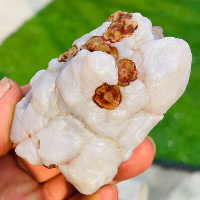 150g Rare Natural Colourful Gobi Agate Quartz Crystal Mineral Rough Specimen