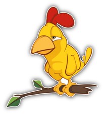 Funny Chicken Cartoon Car Bumper Sticker Decal - ''SIZES''