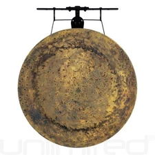 22" Chinese Gongs on the Internal Wave Gong Hanger