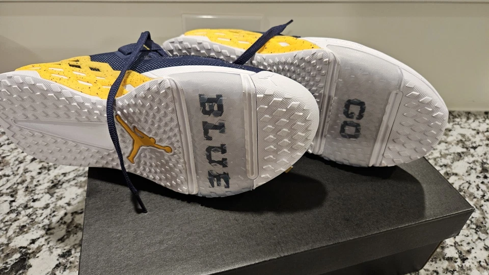 Jordan Alpha 360 TR Michigan Wolverines Talla 11.5 Foto 4 de 4