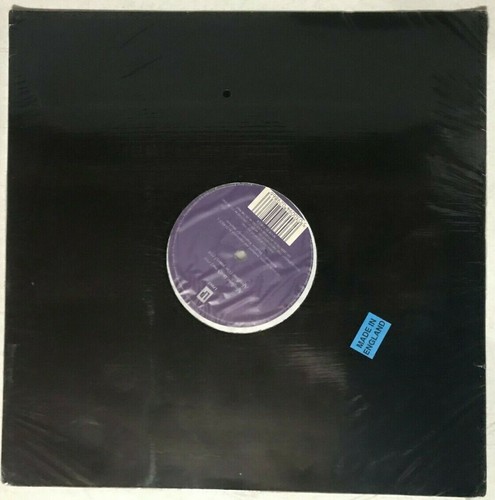 D Ren 1 Afroflow 1998 Vinyl England House New Sealed Ebay