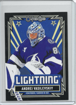 2025-26 OPC O-Pee-Chee Andrei Vasilevskiy Retro Black Border #’d 80/100