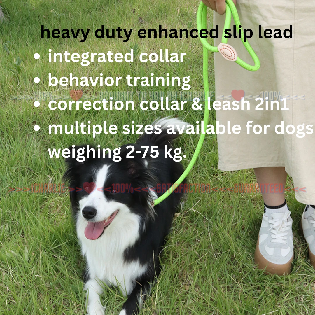Nylon Dog Leash Heavy Duty Lead Slip Lead Training Correction 1.8m 8-16mm 2-75kg