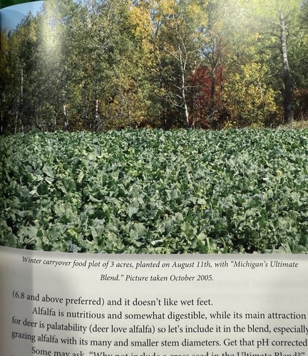 Ultimate DEER food Plots By Ed Spinazzola Make Hunting Deer Easier - Bild 6 von 7