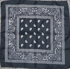 12 Pcs Lot POLYESTER Paisley Print Bandana Face Cover Head Wrap Headband Scarf