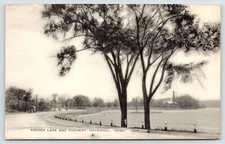 Haverhill Massachusetts~Pair of Trees~Shore of Lake Kenoza~Rte 110 Armstrong Rd