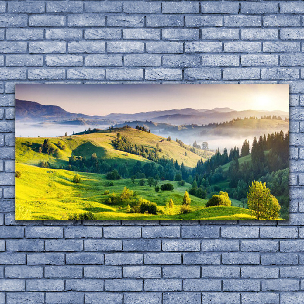 Tableau montagnes et forêt en verre plexiglas 140x70 cm édition galerie modern