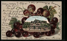 Passepartout-Lithographie Hamburg-St. Pauli, Gasthaus Fährhaus, Weintrauben 190 