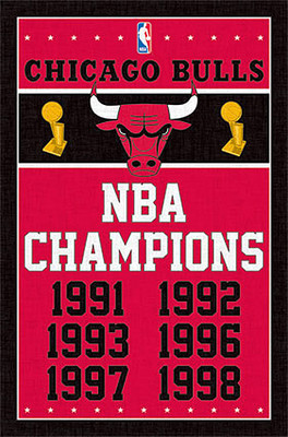 CHICAGO BULLS 6-TIME NBA CHAMPIONS NBA Basketball Team Logo 22x34