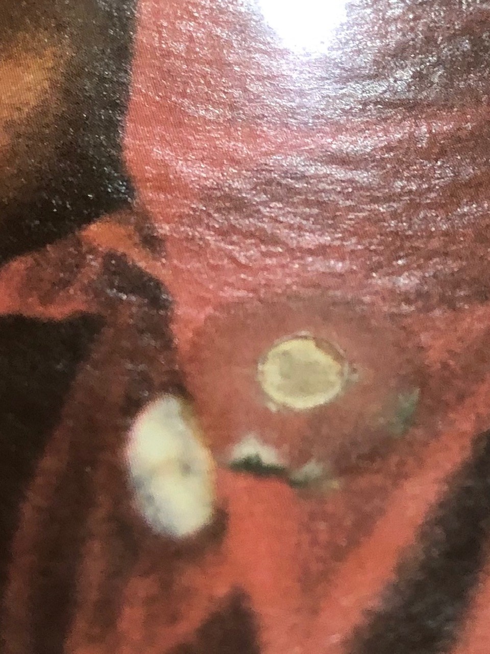 THE MONKEES 1966 COLGEMS COM-101 MONO LP RECORD ORIGINAL FACTORY SEALED ALBUM