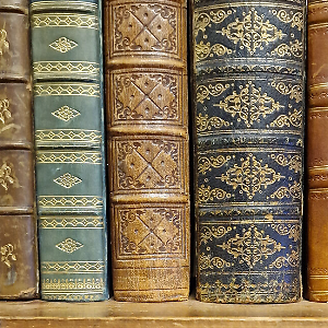 Maynard & Bradley Bookshop | eBay UK Stores