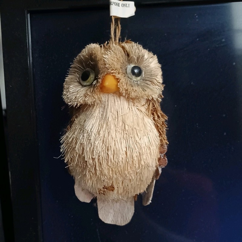 Charming Bottle/Bristle Brush Bright Eyed Owl Ornament 4"x3"