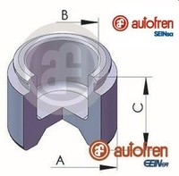 Autofren Seinsa D025356 Kolben FüR Bremssattel Kolben Bremssattel FüR Kia