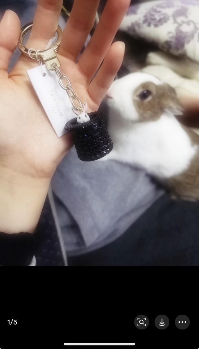 Kate Spade Make Magic Rabbit in Hat Keychain Rare | eBay