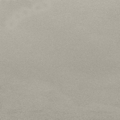 RE25108 - Farbtöne Uni Silber Galerie Tapete