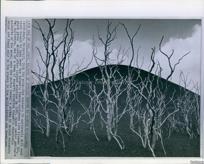 1964 Hawaii Harold Williams Moon Landscape Wirephoto 8X10 Historic Vintage