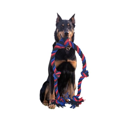 Dog Rope Toys 5 Knots Tough Rope Chew Toy Aggressive Chewers L XL 82cm 147cm UK - Picture 3 of 42