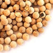 White Peppercorns | Bulk | Spice Jungle