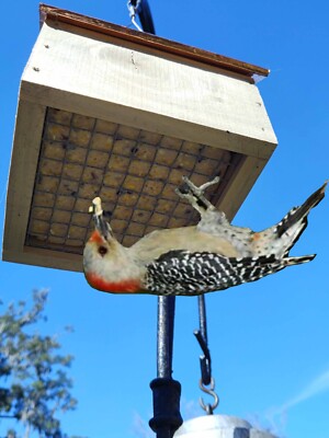 UPSIDE DOWN SUET FEEDER WITH COPPER-CLAD ROOF