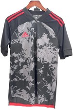 Adidas Kid Boy's Training Jersey Gray/Black/Red