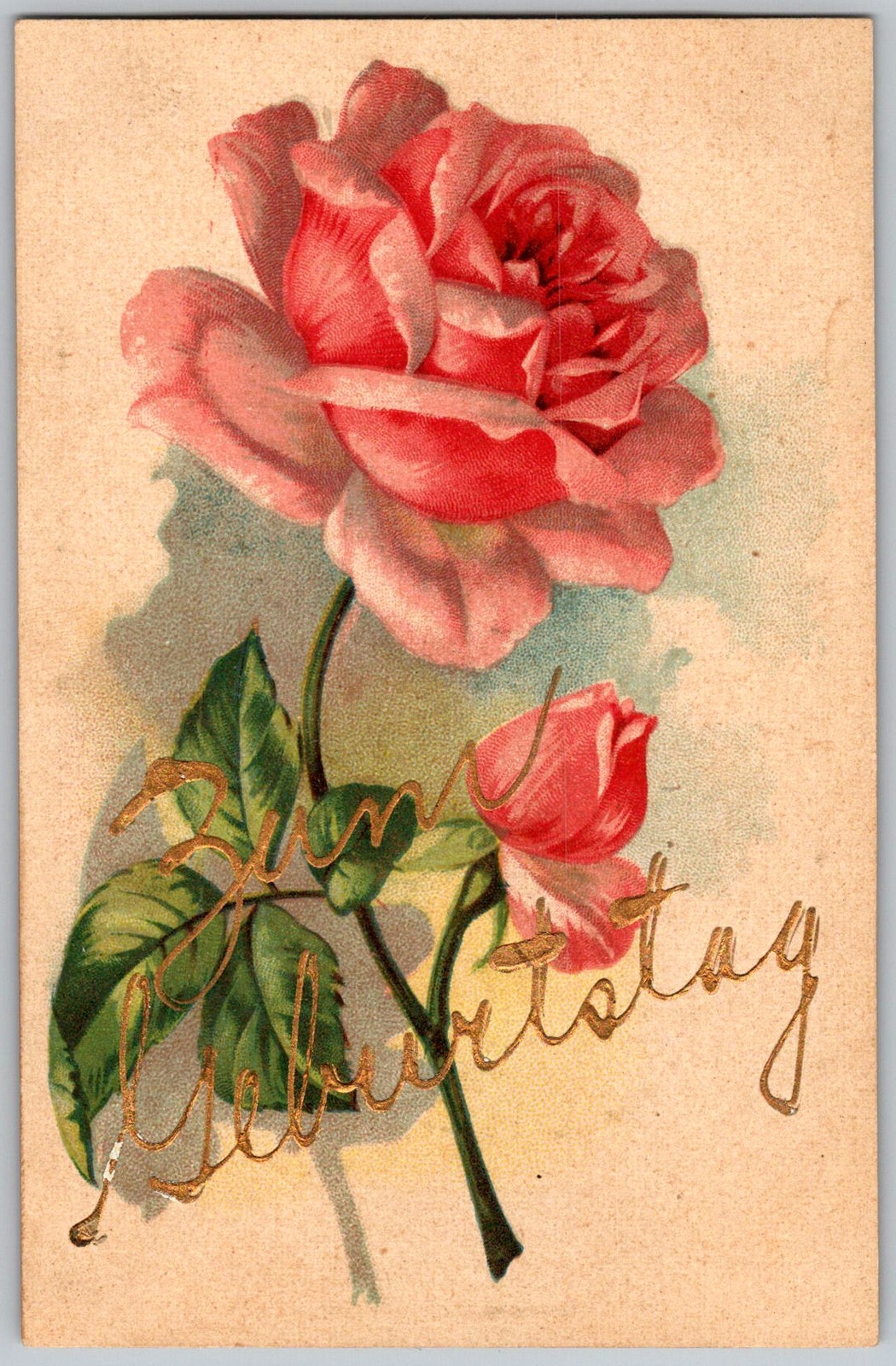 Antique Postcard Pink Rose Birthday 1910s
