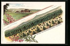 Lithographie Benneckenstein i. Hochharz, Blick zum Bahnhof, Panorama mit Brocke 