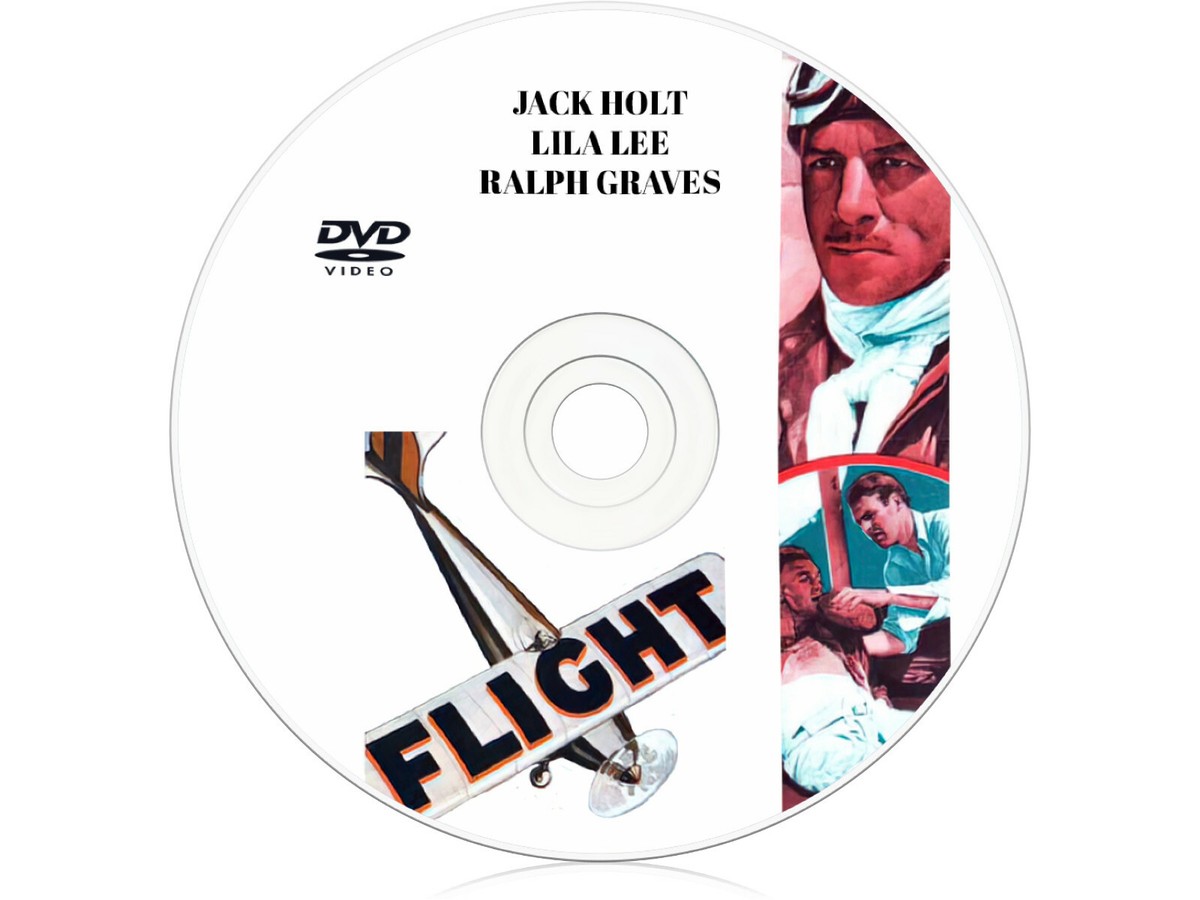 NICE FLIGHT！DVD NICE FLIGHT! DVD-BOX (5 Discs)