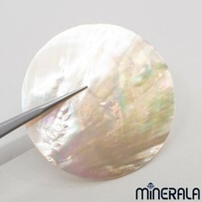 NATURAL FRESHWATER MOTHER OF PEARL SHELL ROUND 55mm WP0271D
