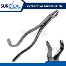 Extracting Forceps 210H Dental Surgical Instrument Stainless Steel German Grade