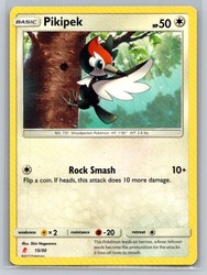 Pikipek 15/30 SM Trainer Kit: Lycanroc & Alolan Raichu