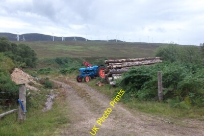 Foto 6x4 Holzstapel, Tormore, Strath Brora Balnacoil\/NC8011 Noch ein weiterer e c2015