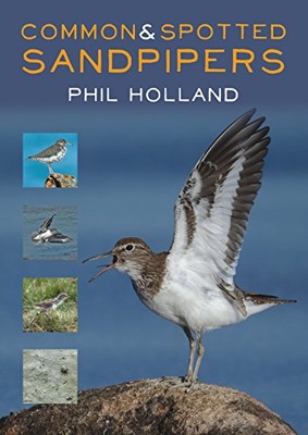 Common and Spotted Sandpipers by Phil Holland (Paperback, 2018)