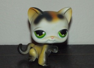 lps calico cat