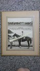 Vintage SWORD DANCER 1960 Win Photo.Eddie Arcaro. 2nd in Ky  Derby.Horse Racing. — photo 1