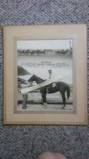 Vintage SWORD DANCER 1960 Win Photo.Eddie Arcaro. 2nd in Ky  Derby.Horse Racing.