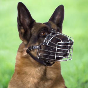 metal cage muzzle