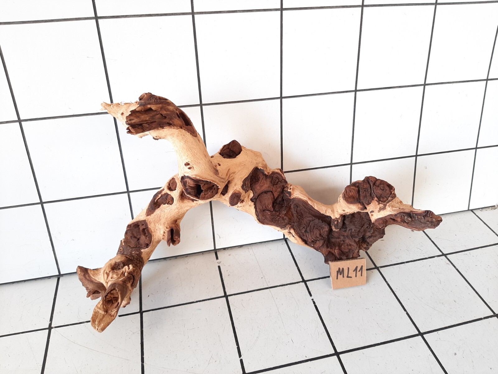 Driftwood for Auarium Fish Tank Wood Terrarium Root MOPANI Size L eBay