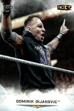 2020 Topps WWE Undisputed Dominik Dijakovic 57 NXT AEW