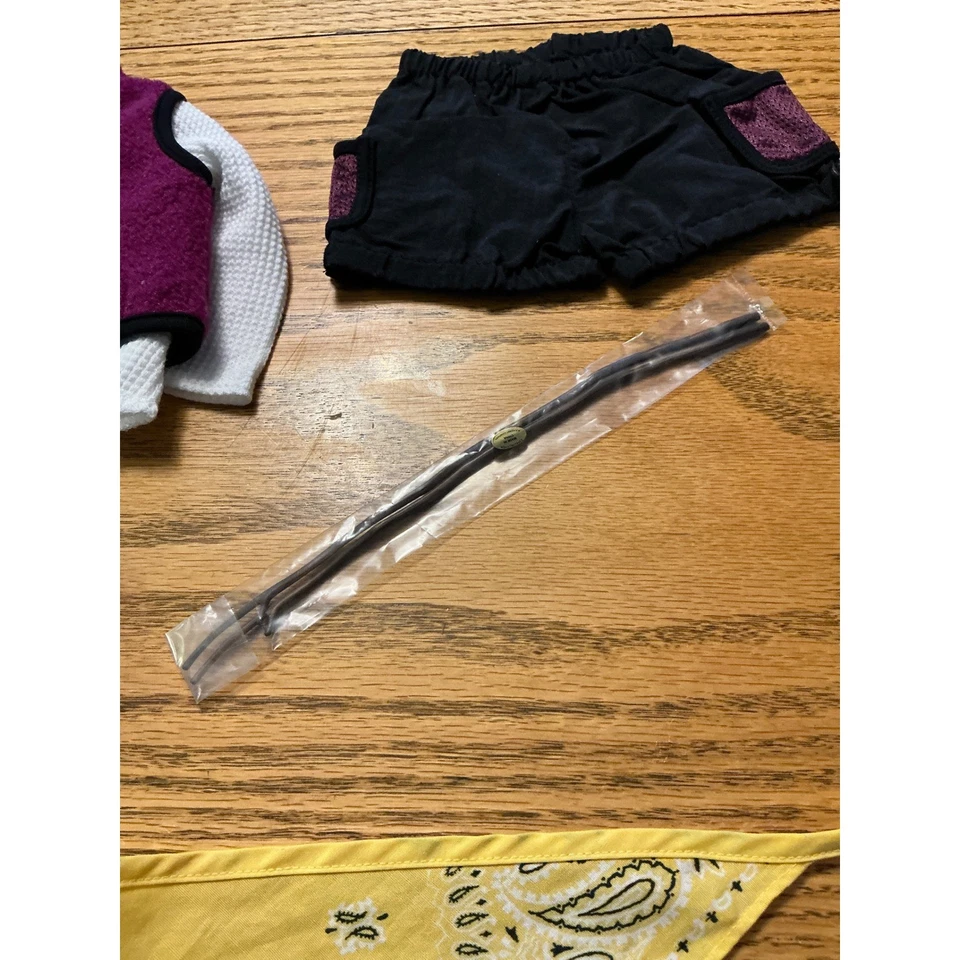 American Girl of Today Vintage Co Conjunto de Camping Usado en Excelente Condición Completo con Stiks para caminar Foto 4 de 4