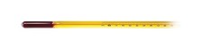 Thermco Extreme Fractional Degree Precision Laboratory Thermometer ACC1007BS