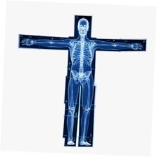 Human X-Rays for Kids' Light Table - 14-Piece Skeleton Puzzle  7 Body System