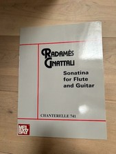 Radam s Gnattali  s Sonatina for Flute and Guitar