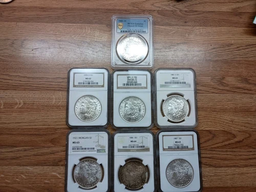 morgan silver dollar lot of 7 NGC 63 64 65 Mint❤️❤️